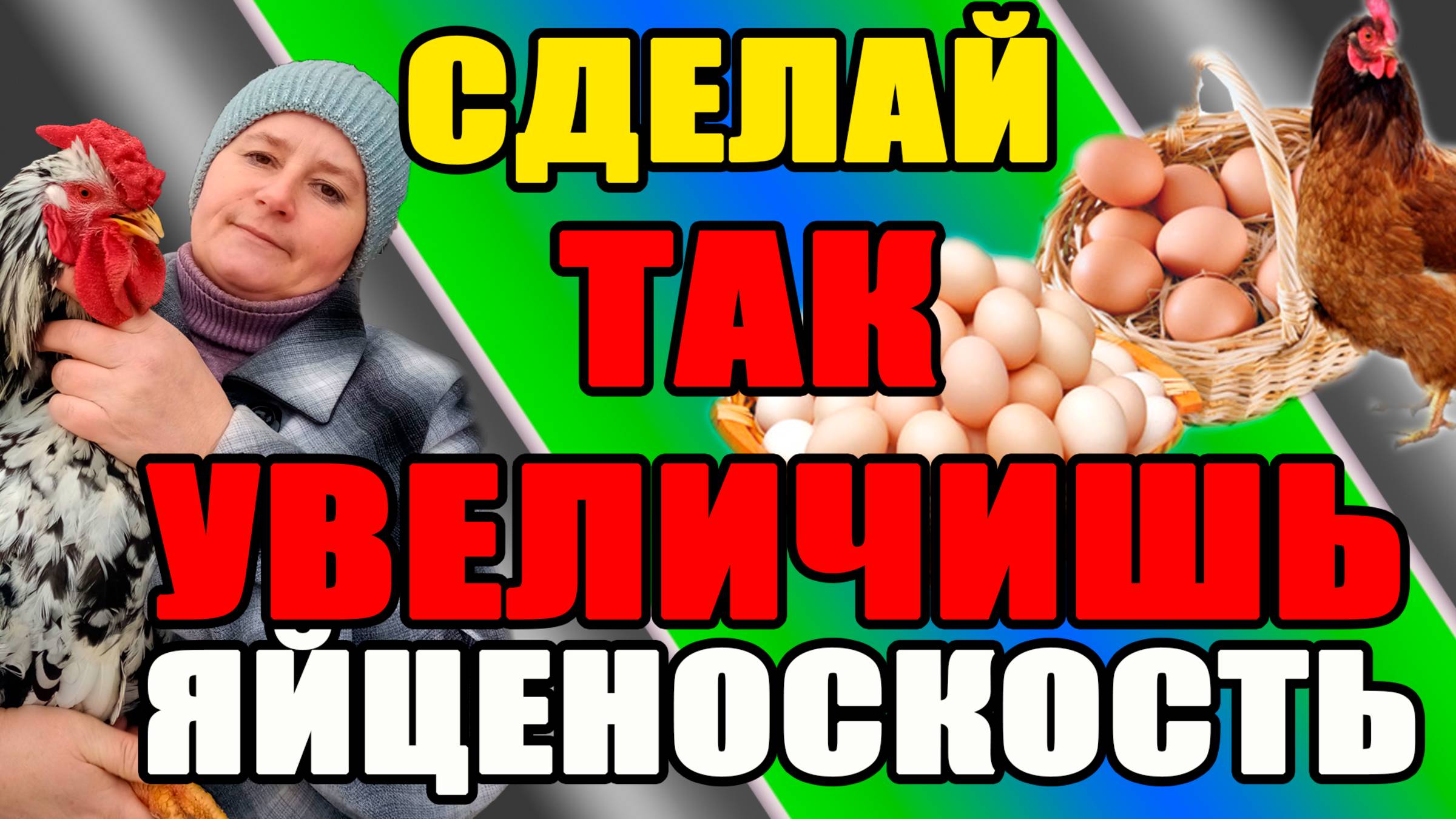 Сделай ТАК и УВЕЛИЧИШЬ яйценоскость кур.