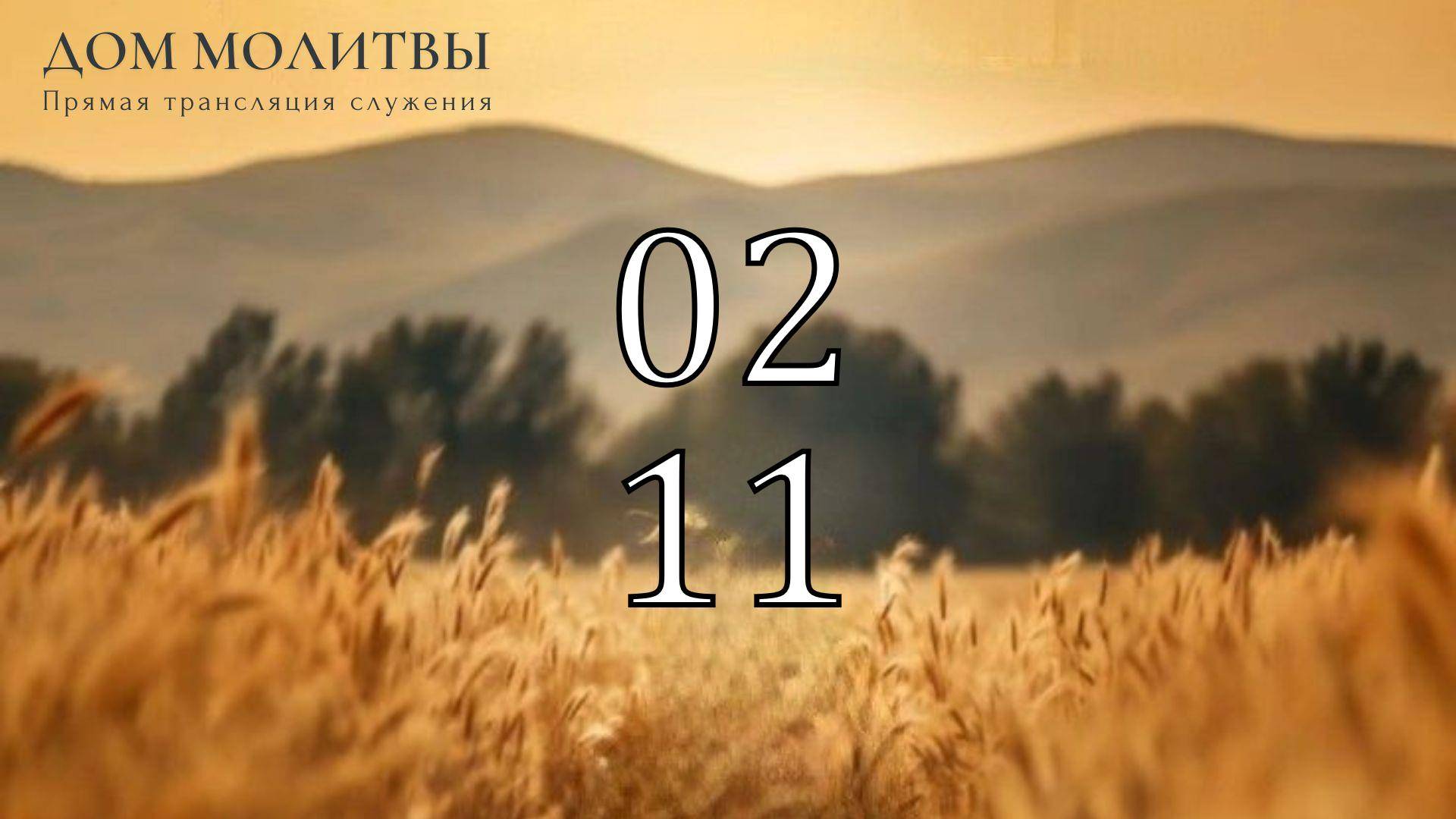 2.11.2025 - Прямая трансляция ст.Елизаветинская