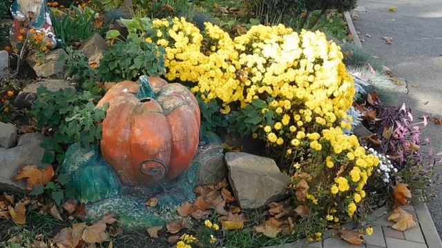 30=10=2025  СОЛНЕЧНЫЙ ОСТРОВ. КРАСНОДАР  (136)