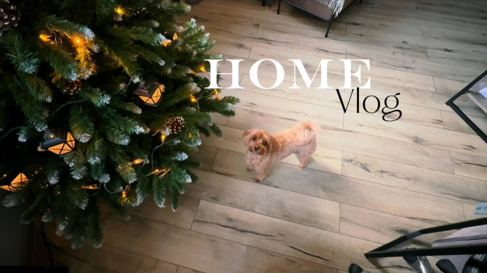 Домашний влог😋 Делимся последними новостями и событиями 🗞️