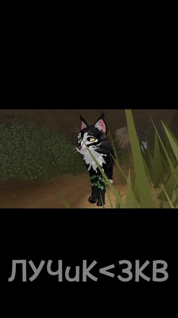 ураааааа я видео сняла сенсация прям)))
(я знаю что там есть опечатка можете об этом не писать)