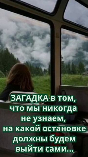 Поезд моей жизни