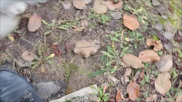 Закрыли дачу на зимовку, покупки с ВБ.