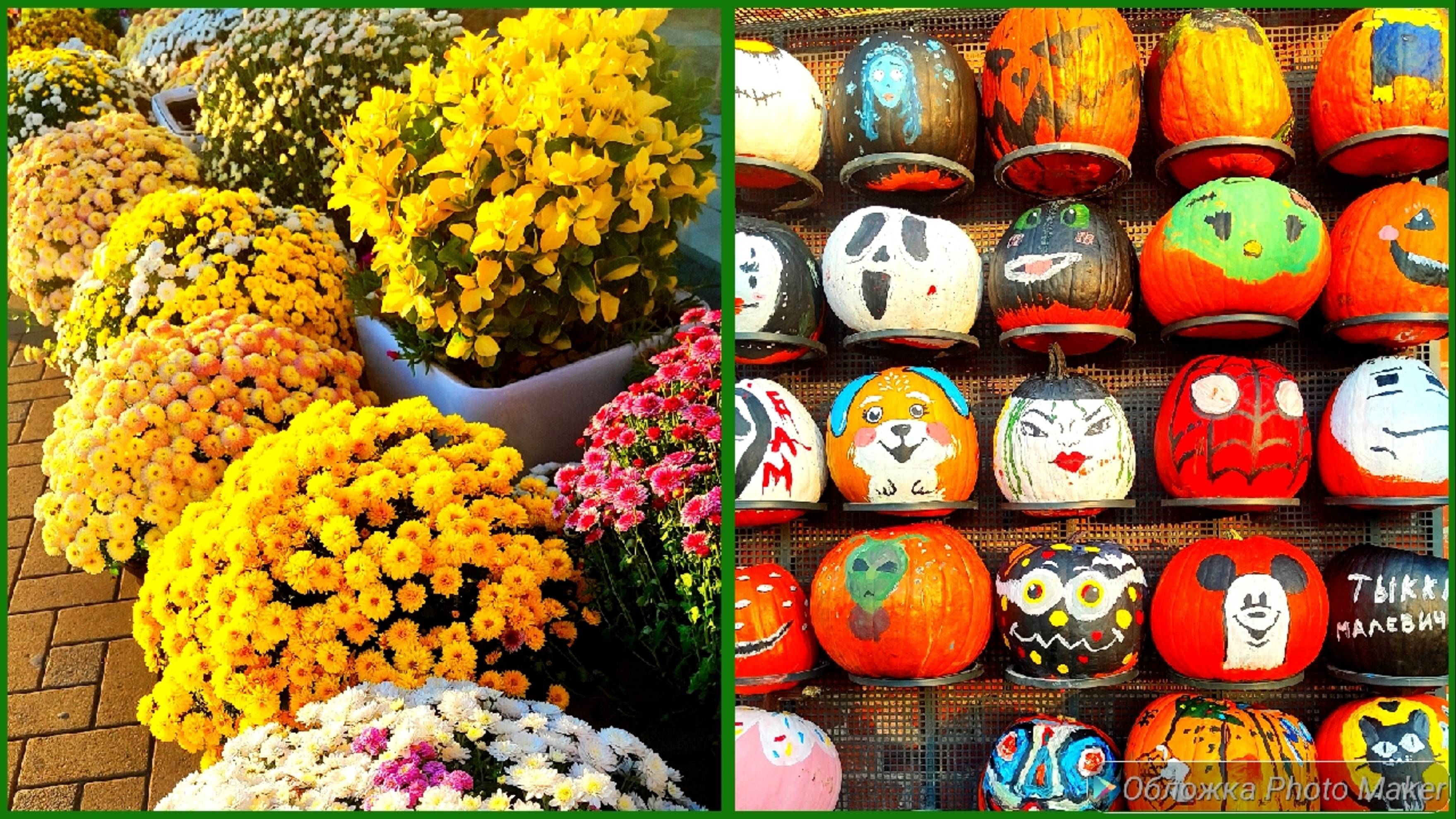 Посуда в золотом яблоке 🍏/ Магазин Фамилия 💜 новинки/ Прогулка