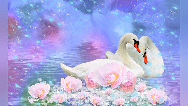 Красивые белые лебеди как сказка