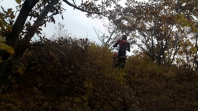 Мотопрохват-лисиченко 2025 Мыс