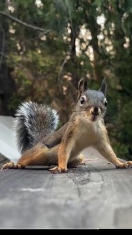 Отличные ребята.