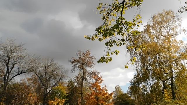 02=11=2025 ник КРАСНОДАР (24)