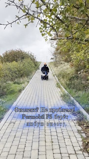 Мыс Фиолент? Не проблема! Permobil F5♿️ берёт любую высоту.