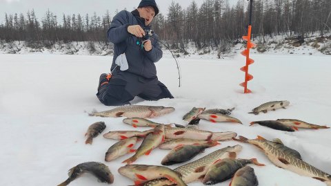 ЛОВИМ СО ЛЬДА МЕШКАМИ! ТУТ ЕЕ ТОННЫ! ЗИМНЯЯ РЫБАЛКА СРЕДИ ВУЛКАНОВ часть 2