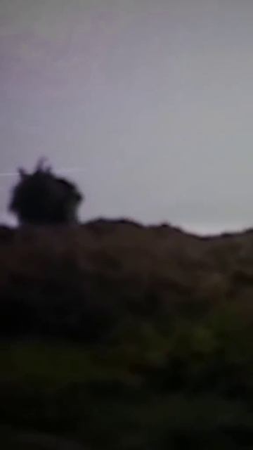 что ты такое