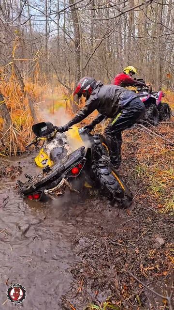 Показываю кусочек моего мира