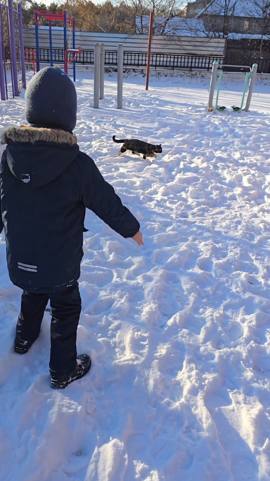 Первый снег 🤸♂️❄️