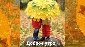 С добрым,ноябрьским утром!