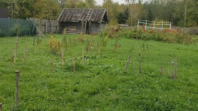 Сентябрь 2026