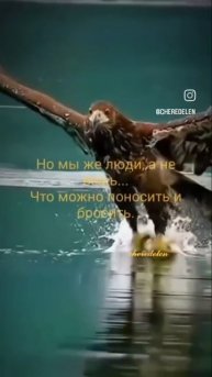 Красивая песня