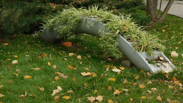 02=11=2025 ник КРАСНОДАР (11)