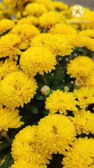 #красота #природа #осень