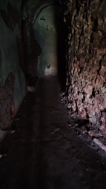 Казематы батареи Милютин 1