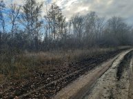 ходим у речки