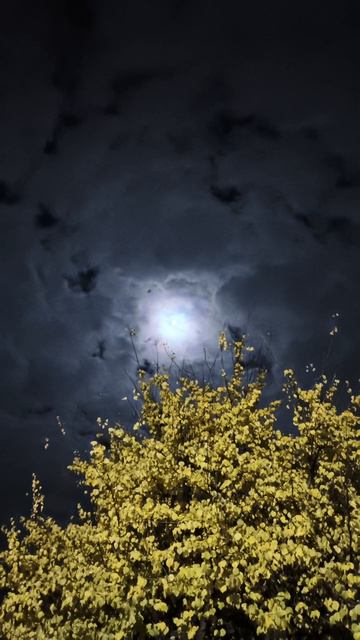 02.11.2025 #сегоднятак #природа #прырода #табиғ #自然 #natureza #natura #자연 #طبيعة #प्रकृति #nature