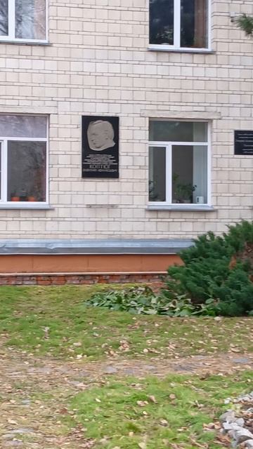 Белочки и кормушки.mp4