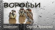 Песня в жанре Шансон. "Воробьи". Стихи Сергей Яременко, исполняет ИИ