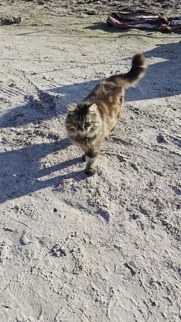 Осенняя рыбалка в Щёлкино🙈🙉🙊Столько медуз я ещё не видела.