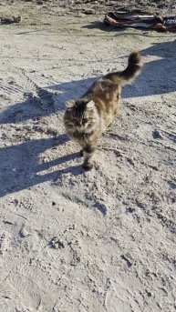 Осенняя рыбалка в Щёлкино🙈🙉🙊Столько медуз я ещё не видела.