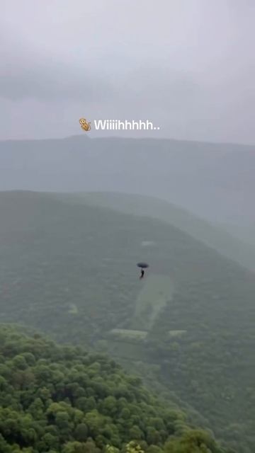 Нападение обезьяны на человека