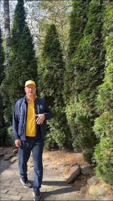 Альтернатива двухметровому забору