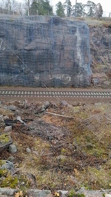 Выемка у ж.д.путей у парка Монрепо снято 24.10.2024г