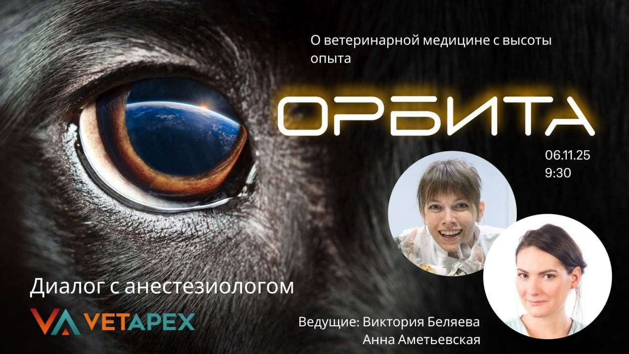 "ОРБИТА" с врачом УЗ-диагностики Викторией Беляевой  и анестезиологом Анной Амет