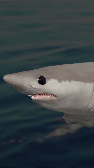 Русская Рыбалка 4 !!!