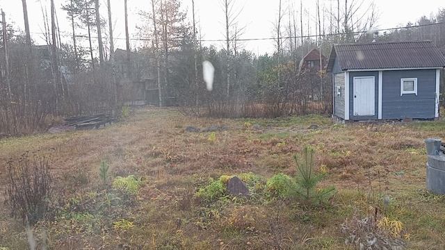 Ноябрь 2025.mp4