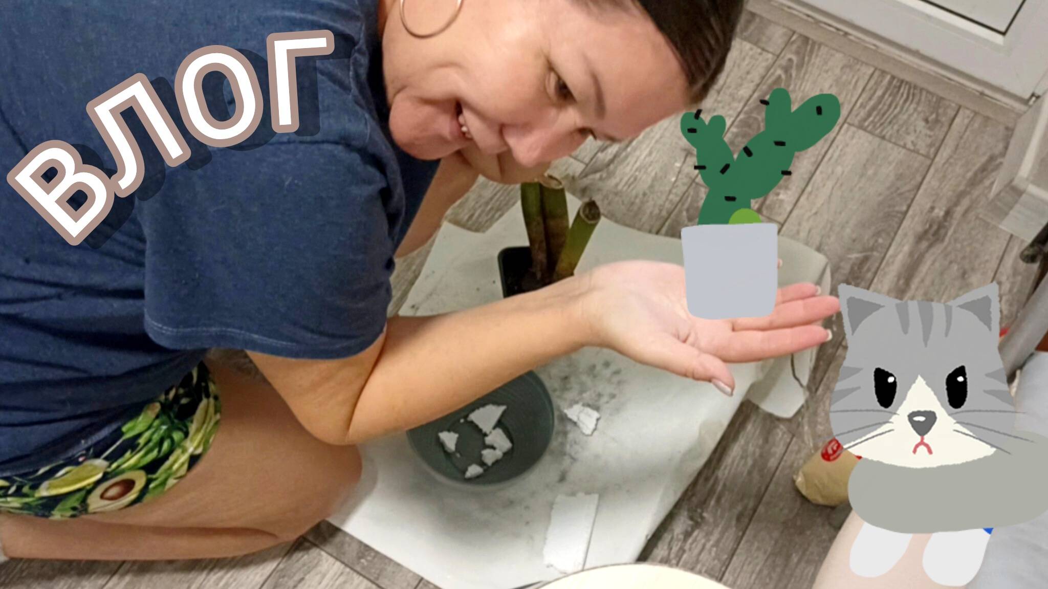 Учусь готовить 🍲, сажать растения 🌵Расхламляюсь. Продуктовые покупки Что, по чëм😁