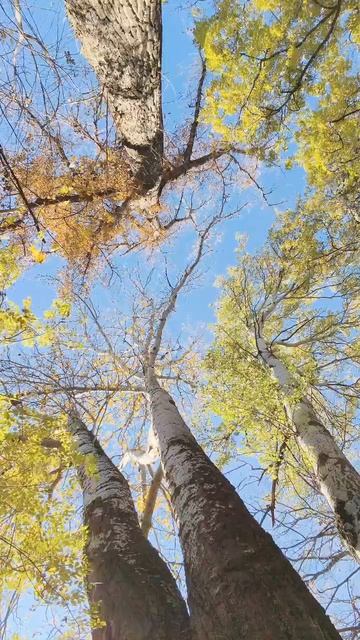 03.11.2025 #сегоднятак #природа #прырода #табиғ #自然 #natureza #natura #자연 #طبيعة #प्रकृति #nature