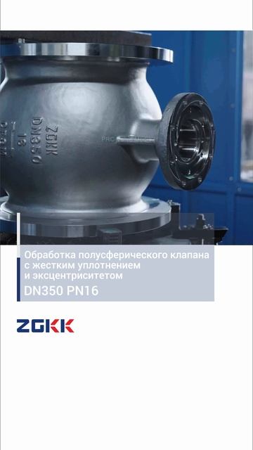 DN350 PN16 Обработка полусферического клапана с же-ZGKK