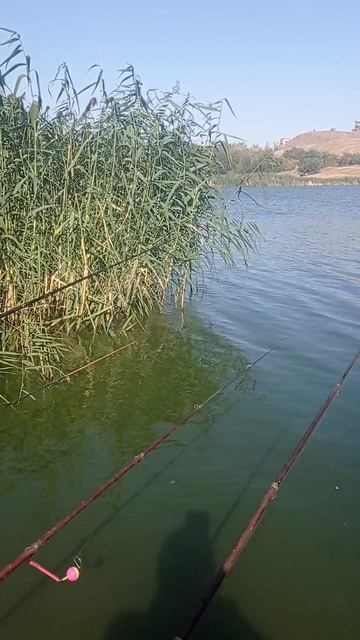 Бревно оторвалось