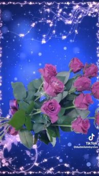 video_9658140595677.mp4