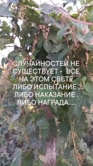 Карма ждет .