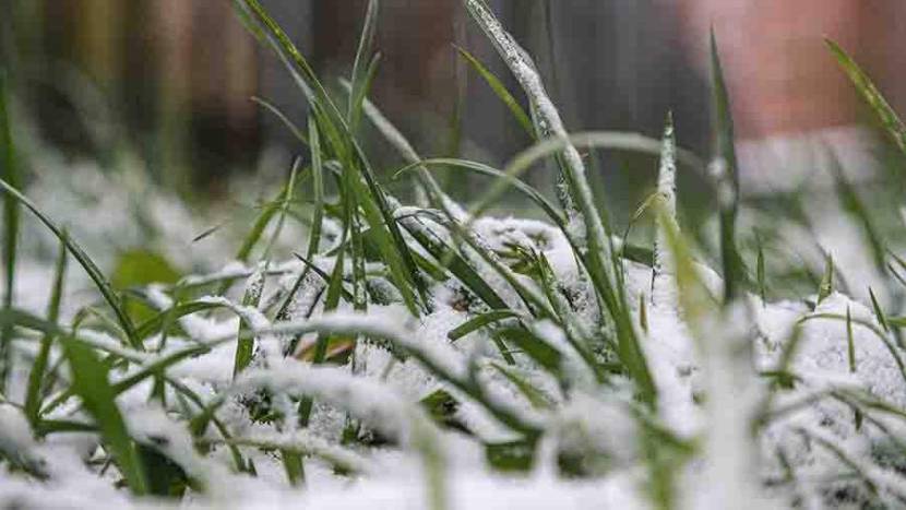 Народные приметы на 3 ноября: что можно и нельзя делать