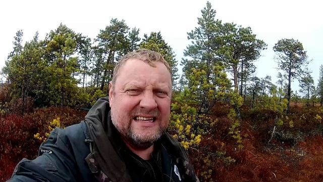 02.10.25 Охота на гуся .Второй  выезд .Поохотились хорошо.