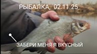 🐟 РЫБА готовится к зиме, 02.11.25.