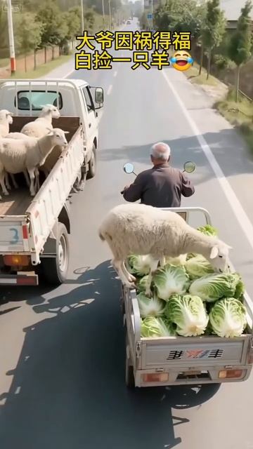 video_10716137654898.mp4