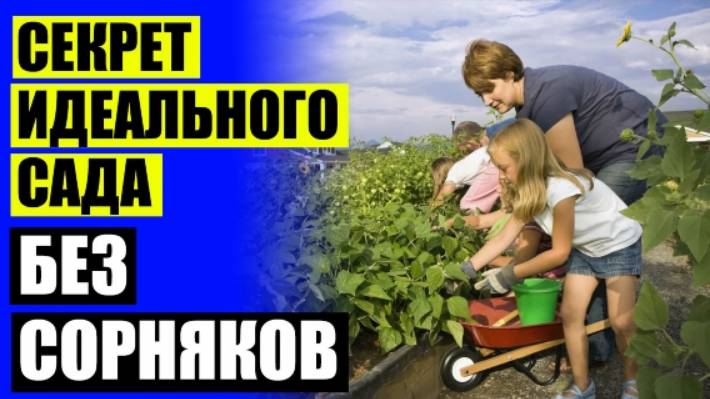 ⚫ КАК ИЗБАВИТЬСЯ ОТ СОРНЯКОВ НА БОЛЬШОМ УЧАСТКЕ