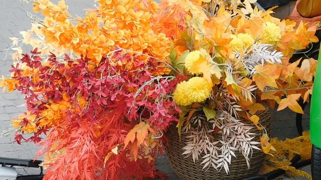 02=11=2025 ник КРАСНОДАР (69) КРАСКИ ОСЕНИ.