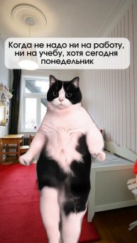 Какой же кайф...