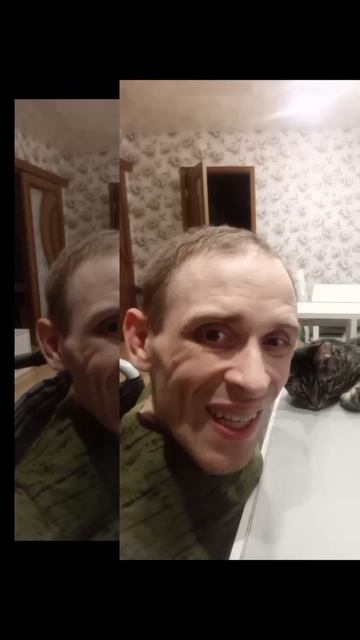 Инвалид Gaidar Life Кот Сёма уснул на столе