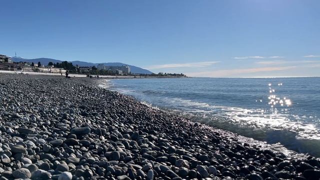 Веб камера Сириус (Сочи)